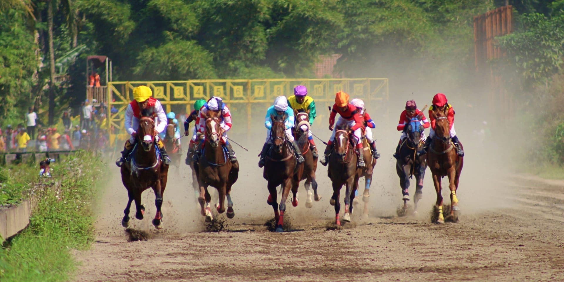 Kentucky Derby 2026 Showcases Tradition, Excellence, and National Celebration