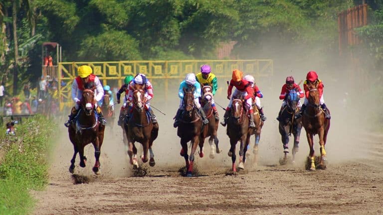 Kentucky Derby 2026 Showcases Tradition, Excellence, and National Celebration