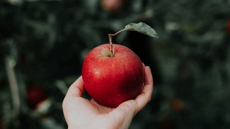 Live-Action Snow White Trailer Reinvents ‘Fairest of Them All’ with Modern Twist