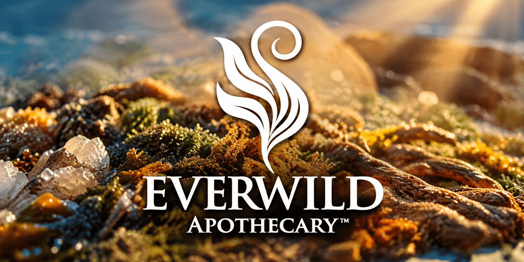 Logo of Everwild Apothecary with natural elements and sunlight in the background