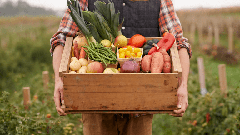 Farm to table