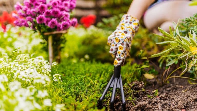 Gardening compressed