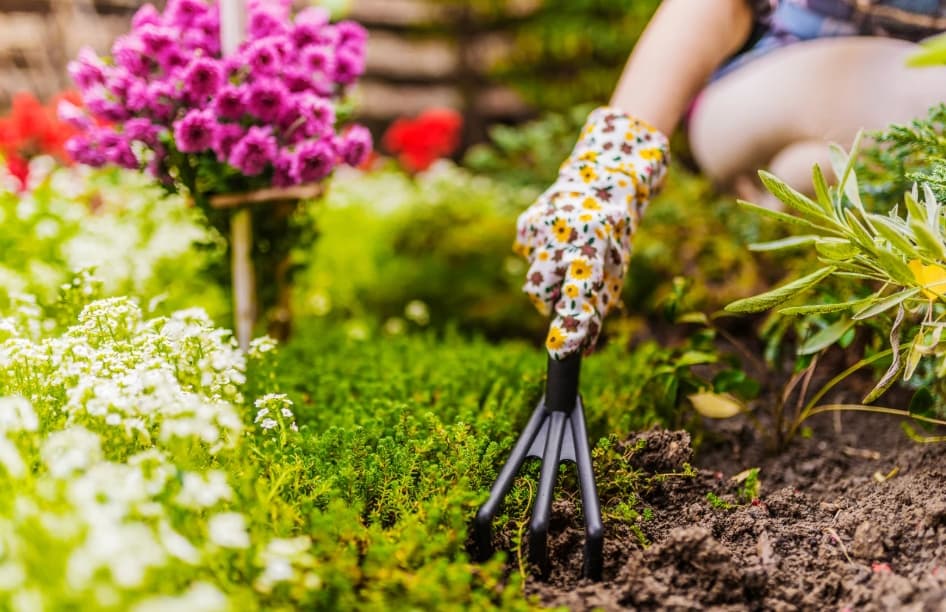 Gardening compressed