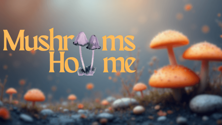 "Mushrooms Home logo featuring stylized mushrooms with vibrant colors, symbolizing creativity, personal growth, and spiritual exploration through dried magic mushrooms."