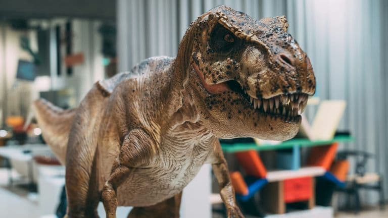 Jonathan Bailey Joins Jurassic World 4 with Excitement and Humor
