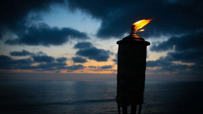 Jeff Probst Announces New Policy on Quitters: No More Snuffing Torches for Survivor Walkouts