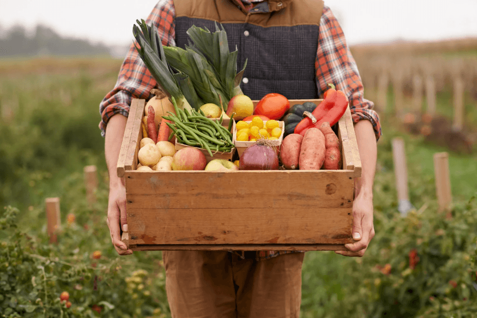 Farm to table