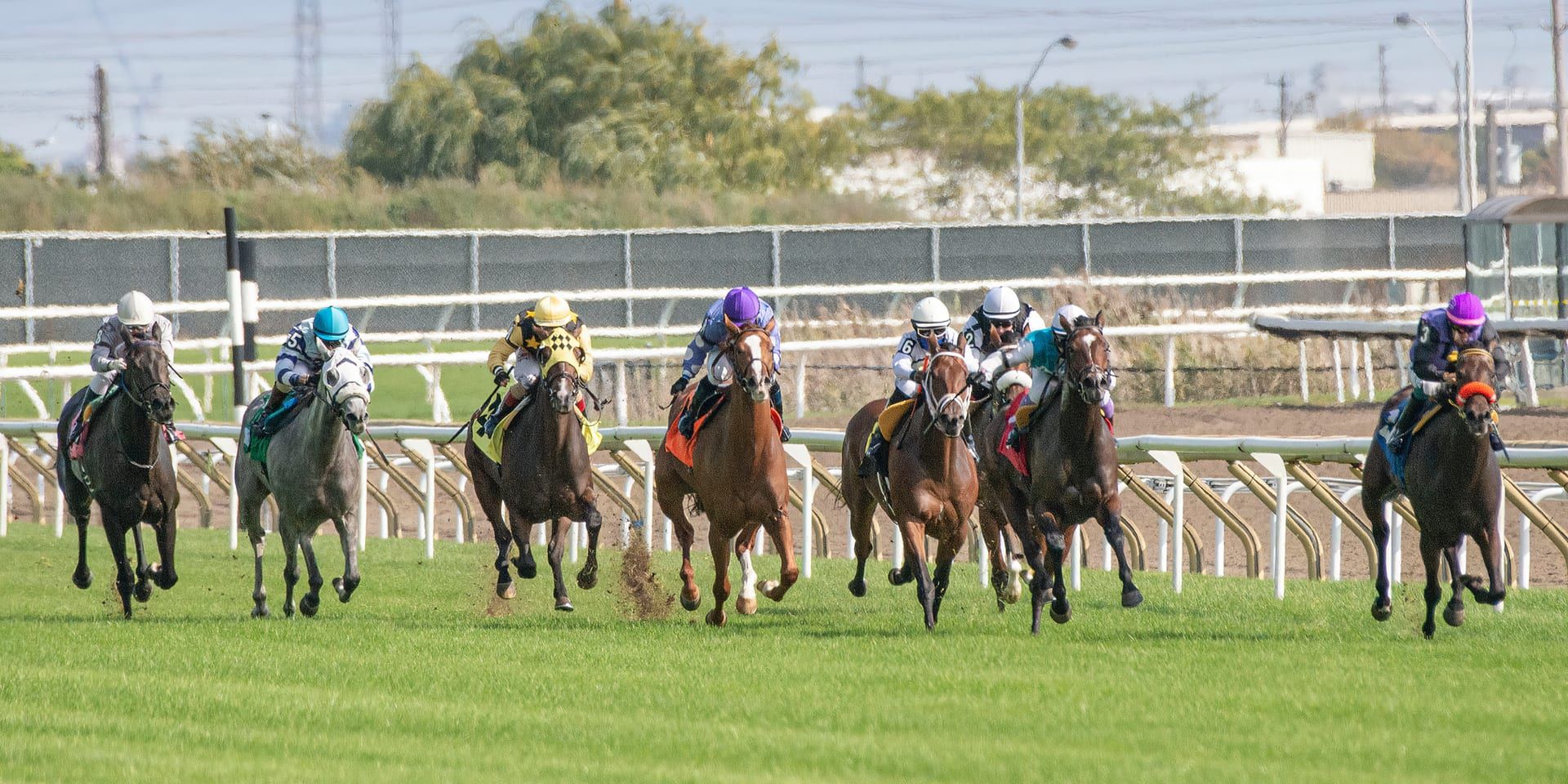 Cherie DeVaux Makes History at the 2026 Kentucky Derby With Golden Tempo Victory