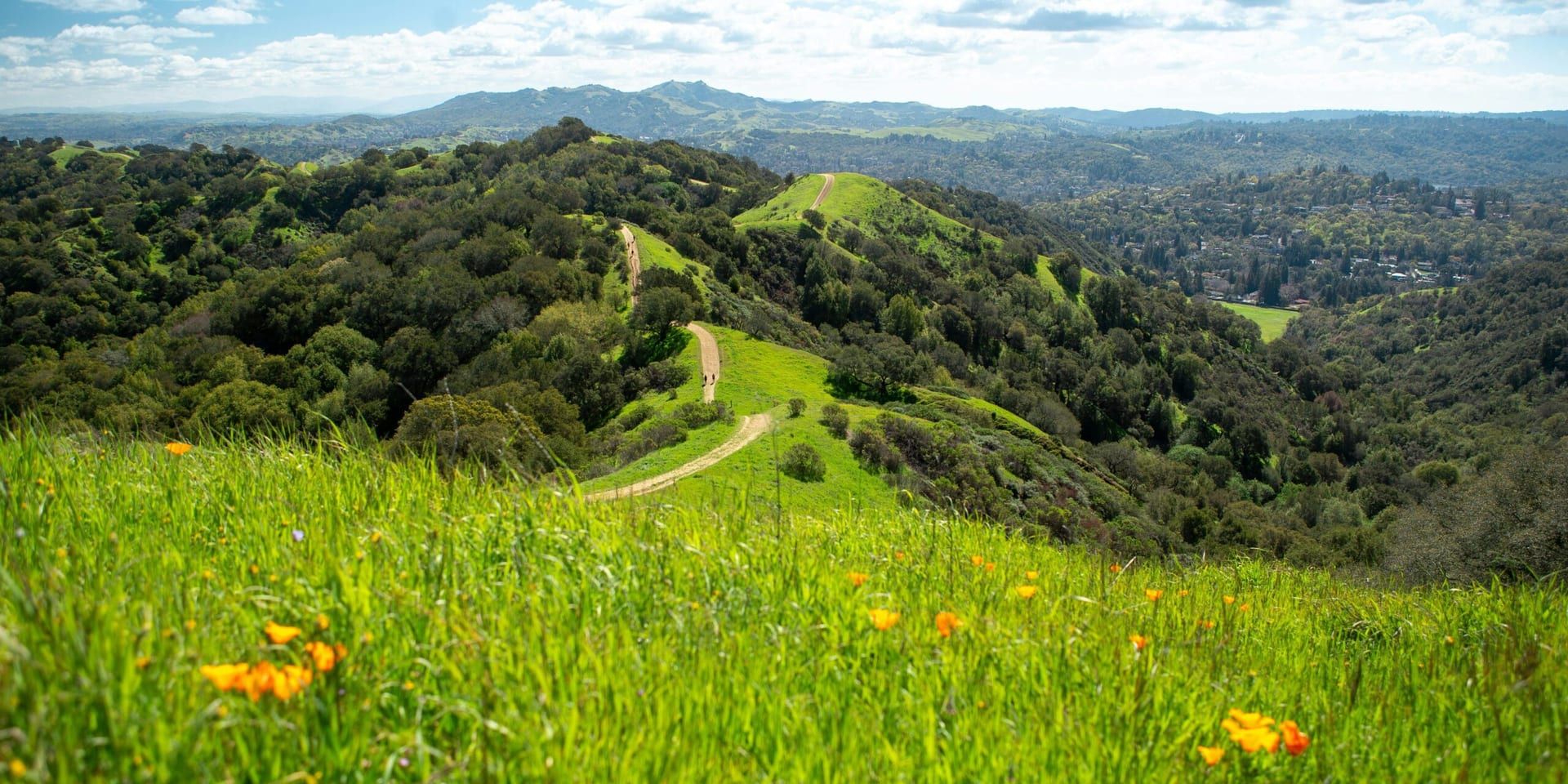 California’s Sustainable Living Movement Gains Momentum