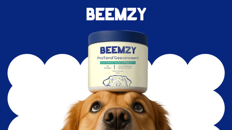 Beemzy, a European pet wellness brand, promotes preventative care for dogs with research-backed solutions and a commitment to social impact.