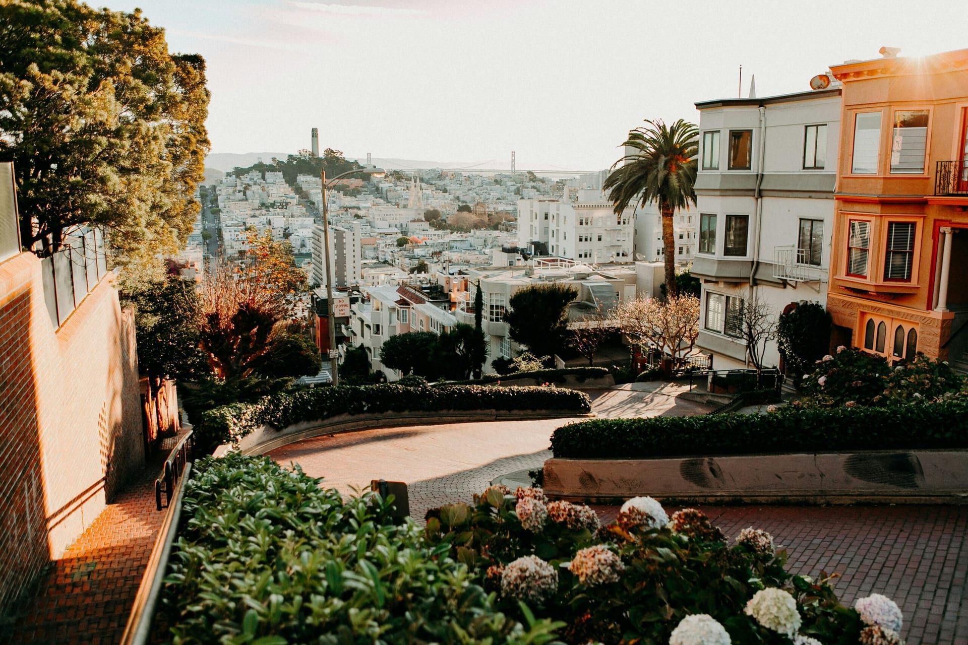 Braden collum aflg5jpmvyg unsplash
