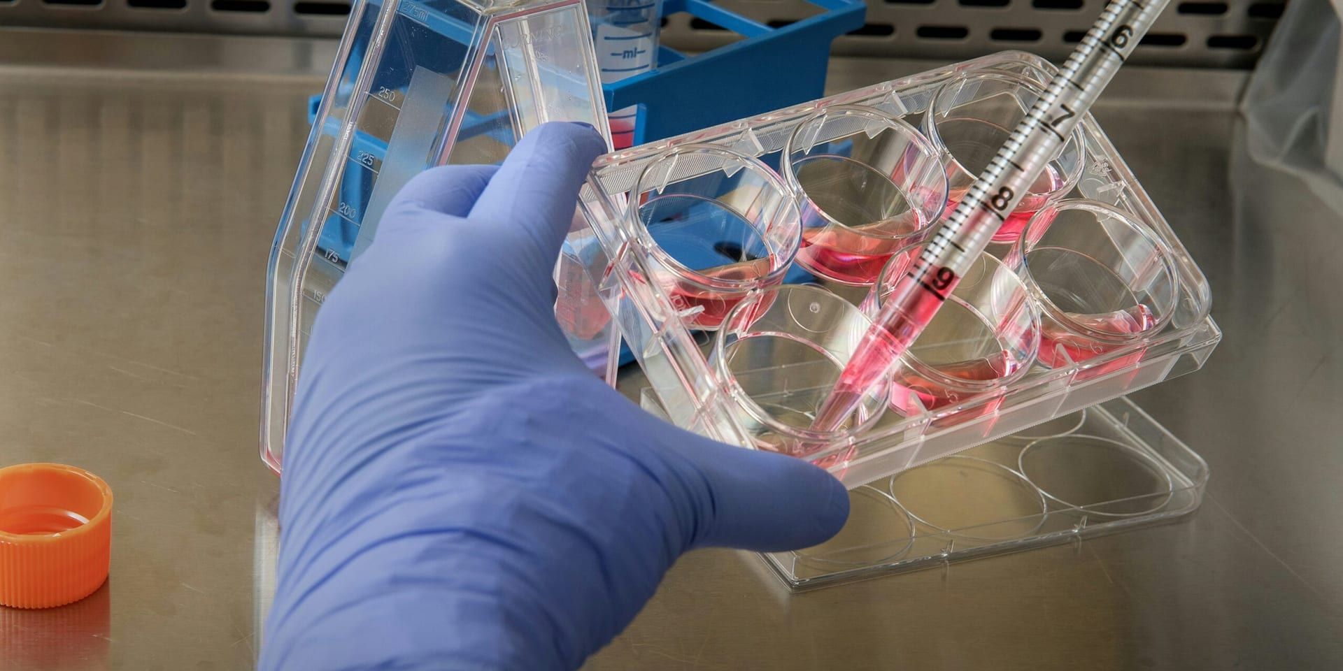 MIT Scientists Achieve Breakthrough in Gene Editing Precision