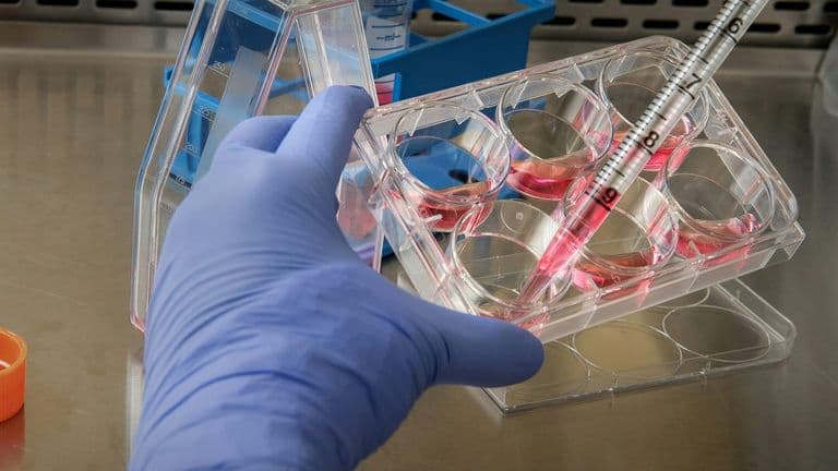 MIT Scientists Achieve Breakthrough in Gene Editing Precision