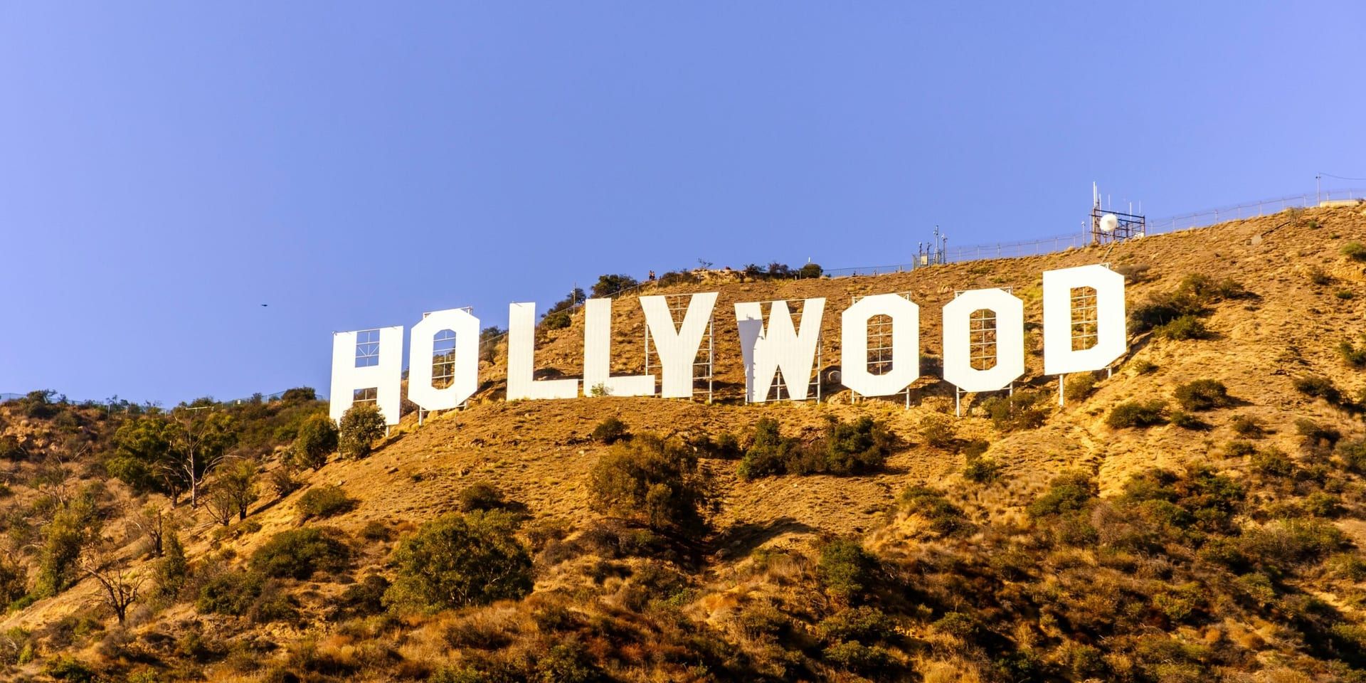 Hollywood’s Push for Diversity Gains Momentum with Industry-wide Changes