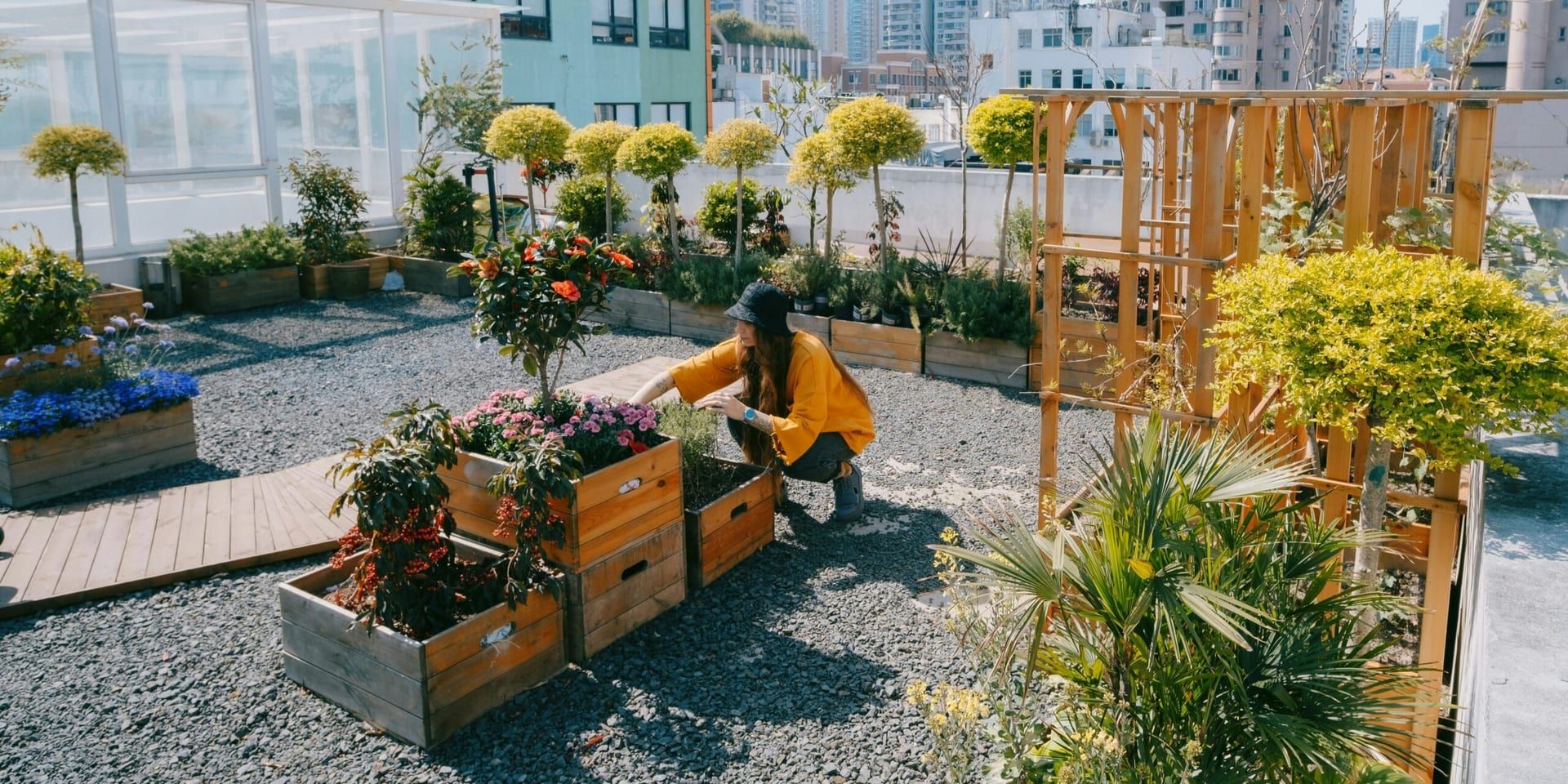 Urban Gardening: A Growing Trend Transforming City Living and Sustainability