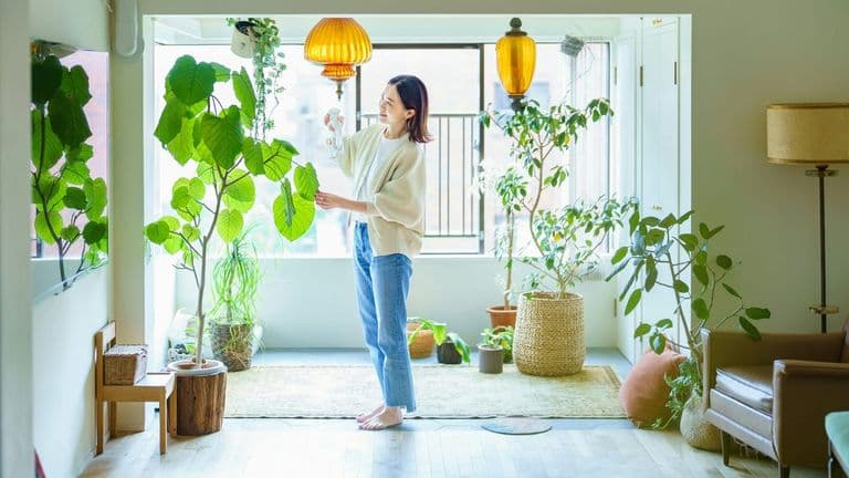Southern California’s Best Eco-Friendly Home Solutions in 2025