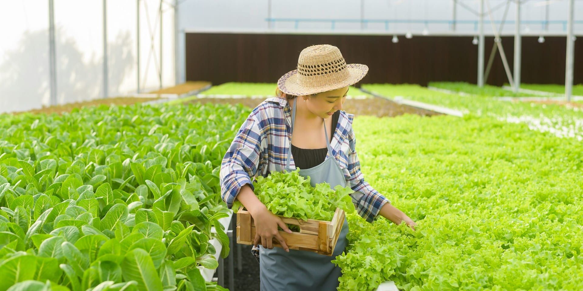 The Rise of Sustainable Living in the U.S. – A Growing Trend in 2025