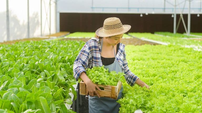 The Rise of Sustainable Living in the U.S. – A Growing Trend in 2025