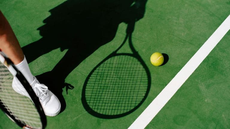 Tennis: Novak Djokovic Clinches Record-Breaking 10th Australian Open Title