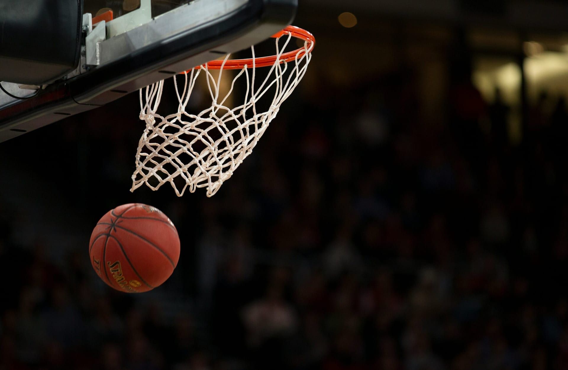 The Rise of the Sacramento Kings: An Unlikely Playoff Push