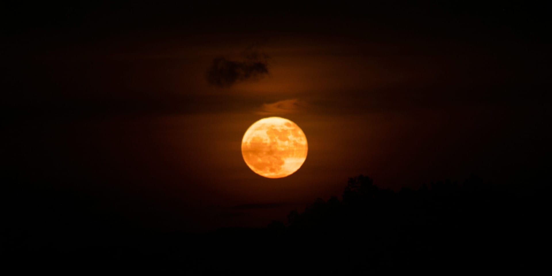 Wolf Supermoon Lights Up the U.S. Sky in Early January