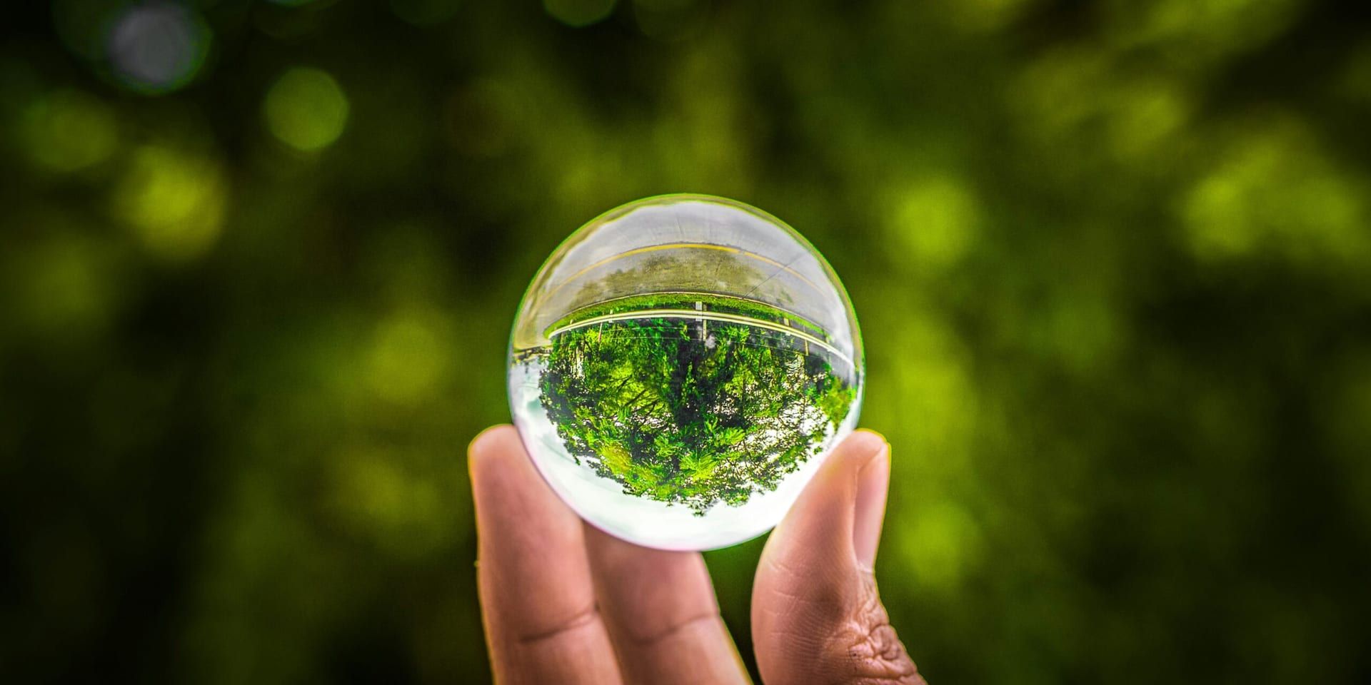 Tech Startups Revolutionize Green Energy Solutions with AI and Machine Learning