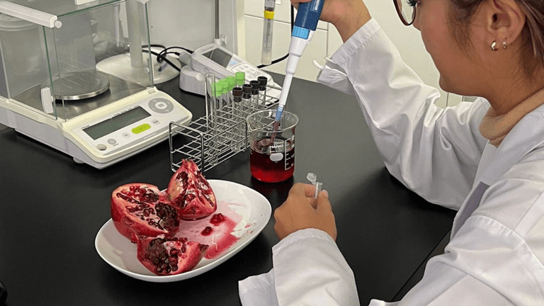 Researchers in Spain and Japan reveal a fermented pomegranate breakthrough, unlocking urolithin for mitochondrial health and aging.