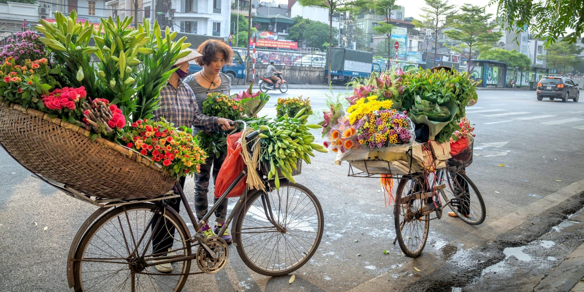 Sustainable Living Trends Gain Momentum in 2025