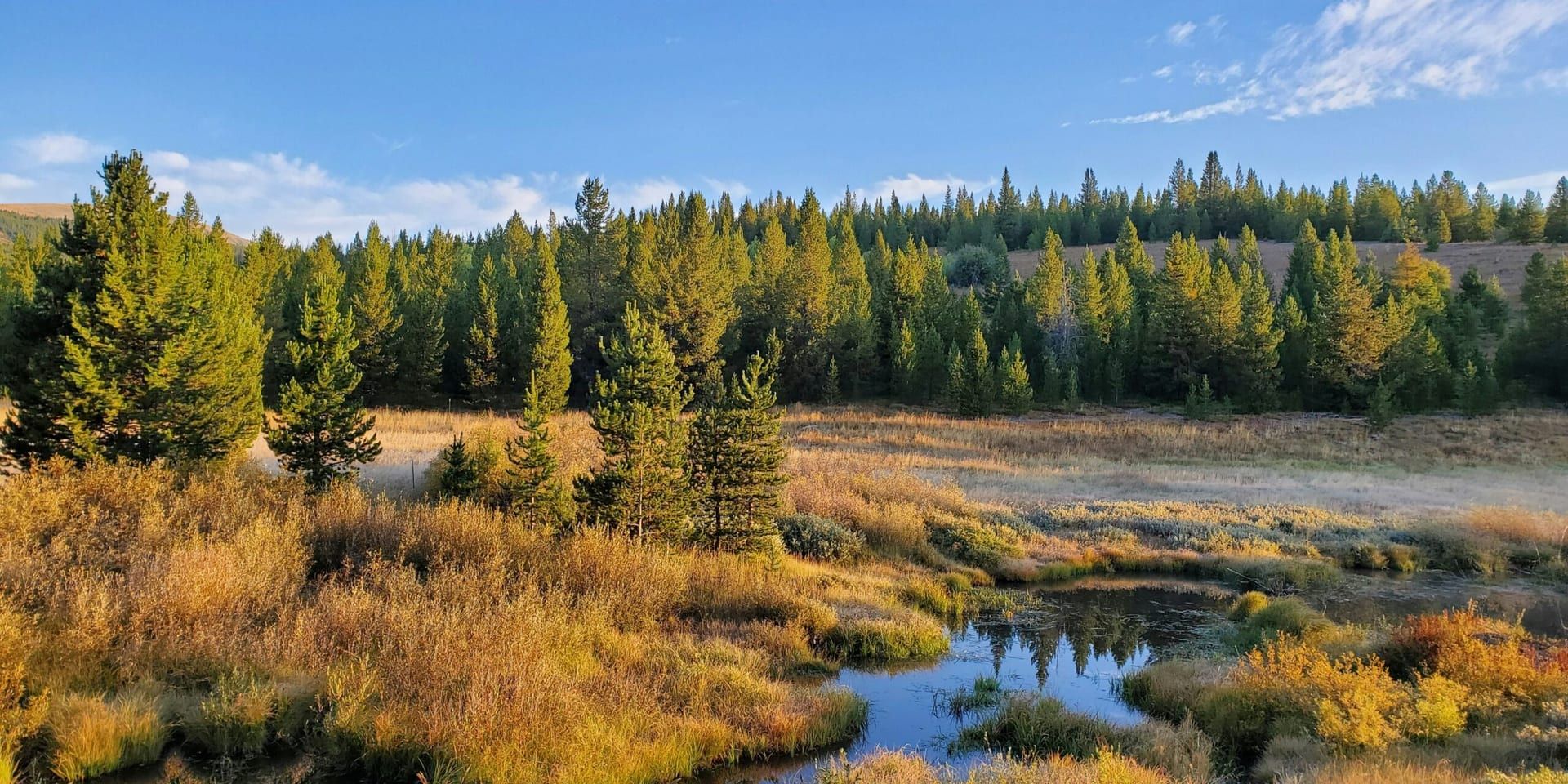 California State Parks Week Celebrates Nature and Community