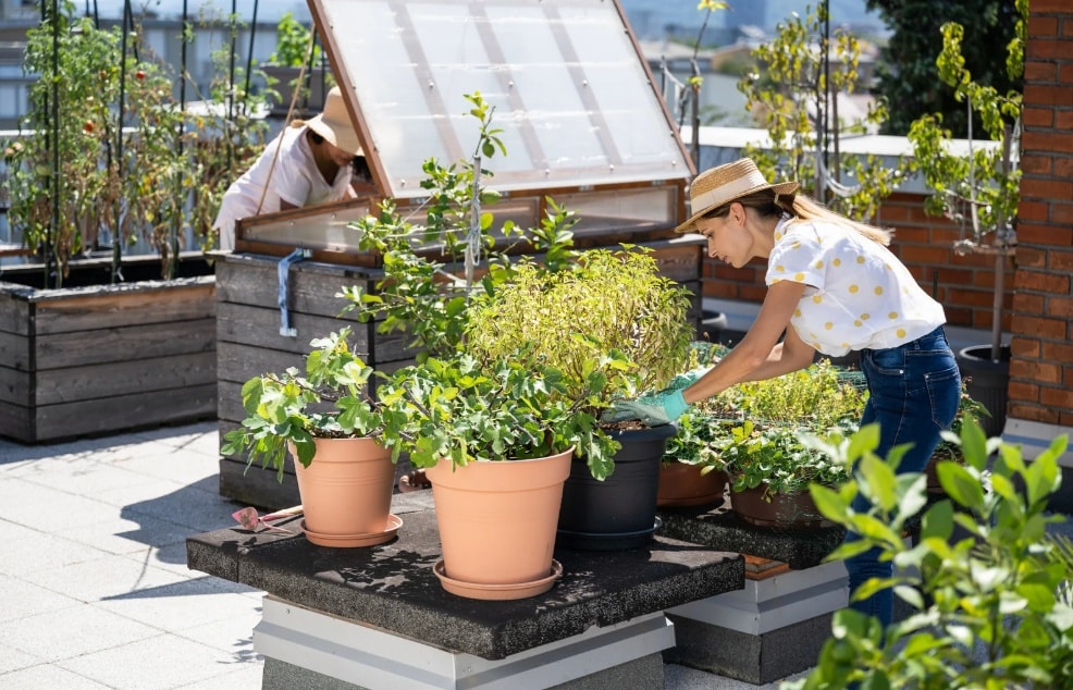 Urban farming compressed