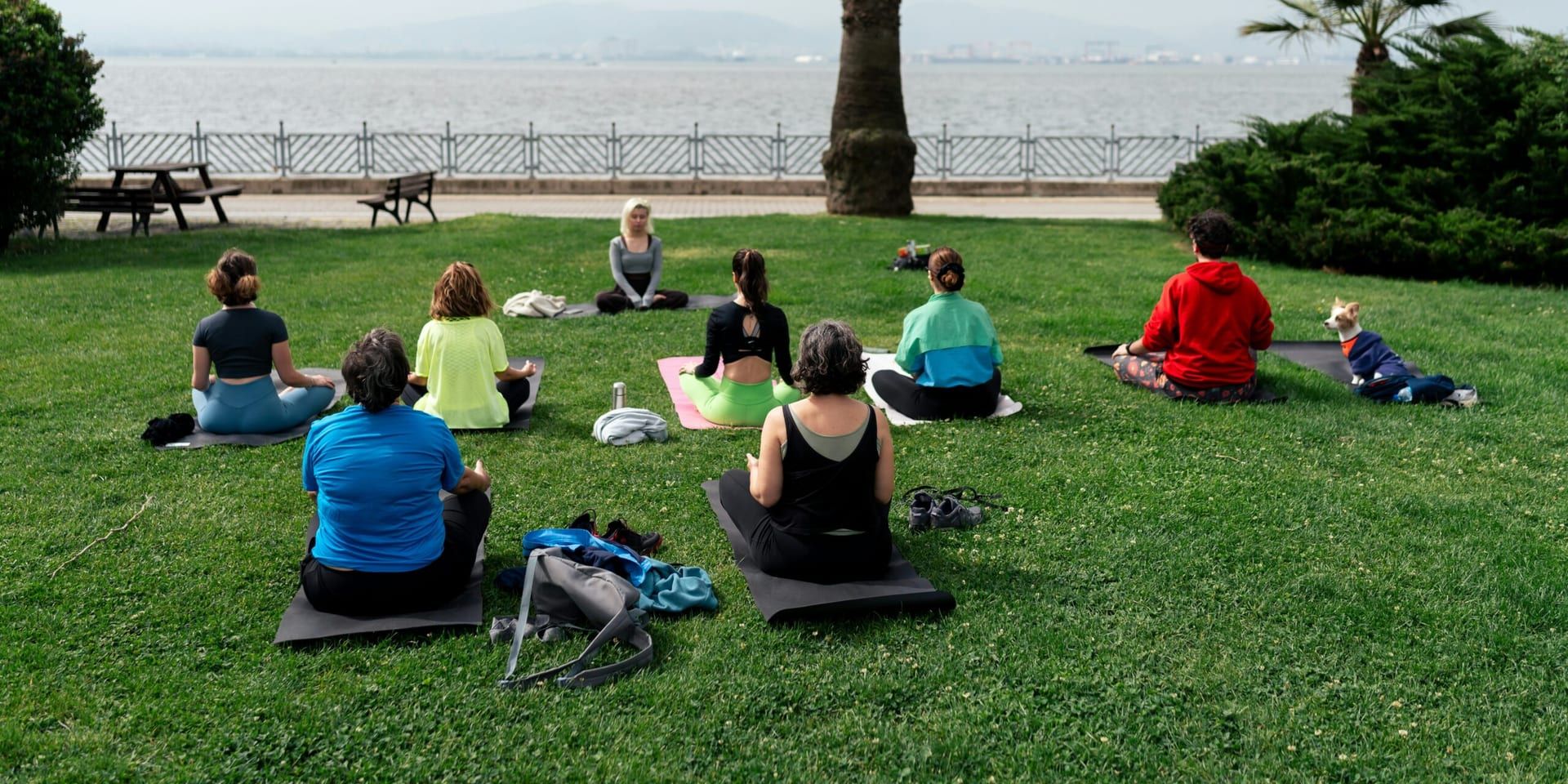 California Leads the Way in Mindfulness and Wellness Trends