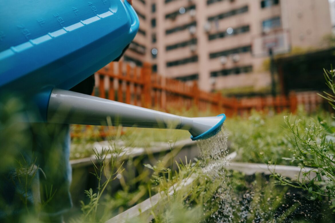 George dagerotip z vt ghalie unsplash