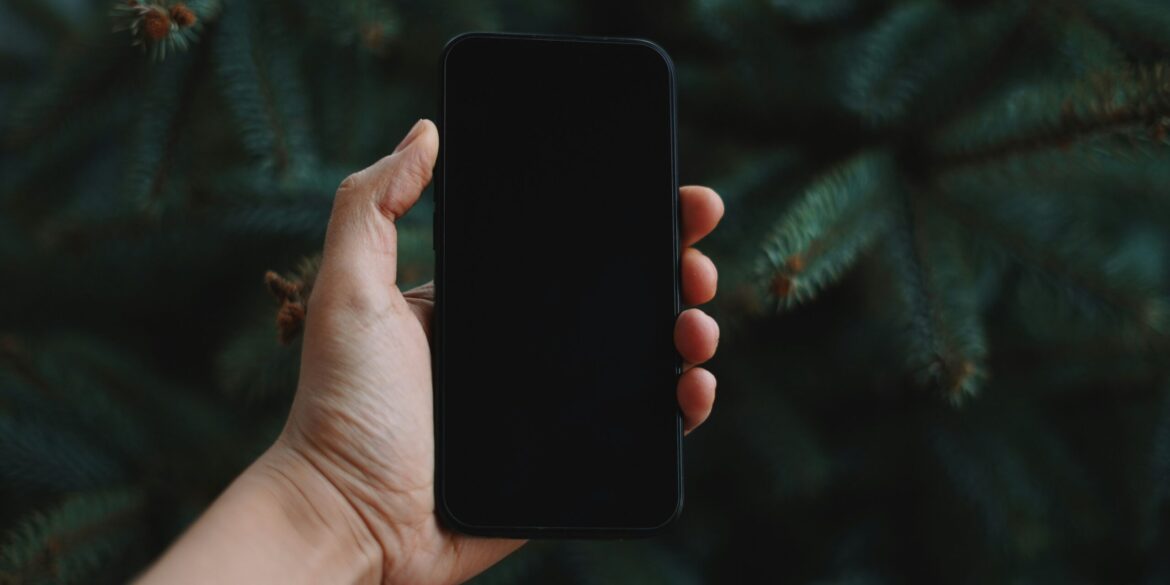 lala-azizli-6O-IYd9hr5Q-unsplash