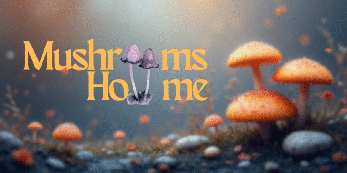 "Mushrooms Home logo featuring stylized mushrooms with vibrant colors, symbolizing creativity, personal growth, and spiritual exploration through dried magic mushrooms."