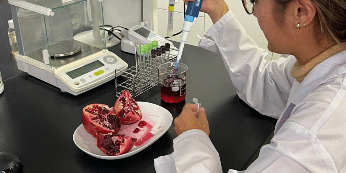 Researchers in Spain and Japan reveal a fermented pomegranate breakthrough, unlocking urolithin for mitochondrial health and aging.